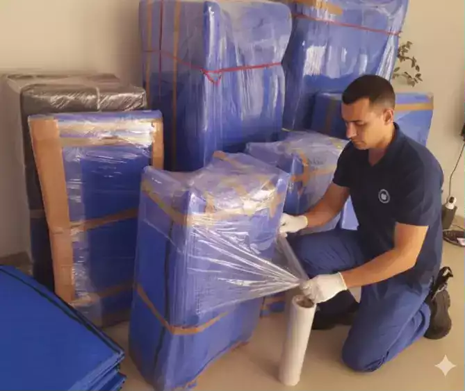 Packing and Moving Service in Kankarbagh
